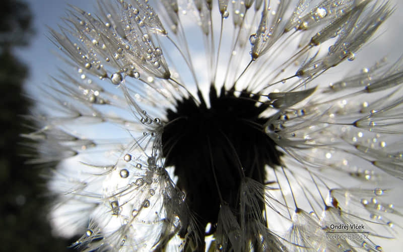 �����㷢һ���ӵ�С���İ���