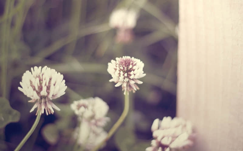 ���õö���¸�Ц�ı�Ц���ӣ����Բ�ˬ??��