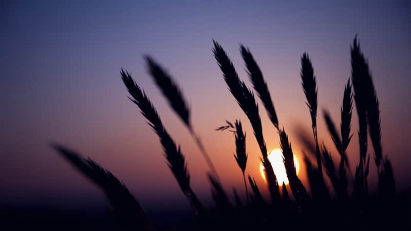 ����䶼���ƣ���䶼���á�??????????