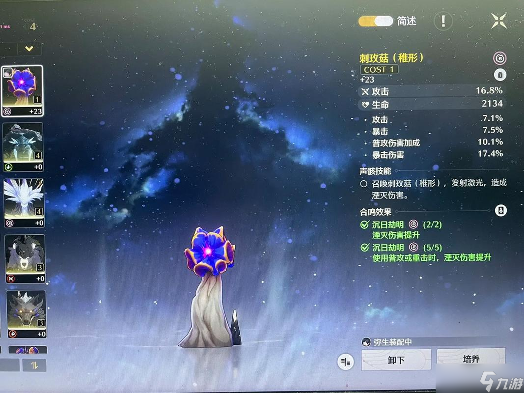 �������������ʺ�˭