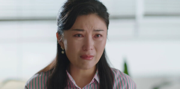 ���İ����������14���������