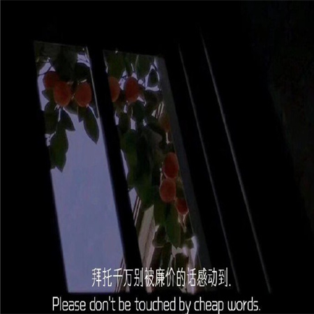 ������ͼƬ�����˸�����(��ѡ100��)