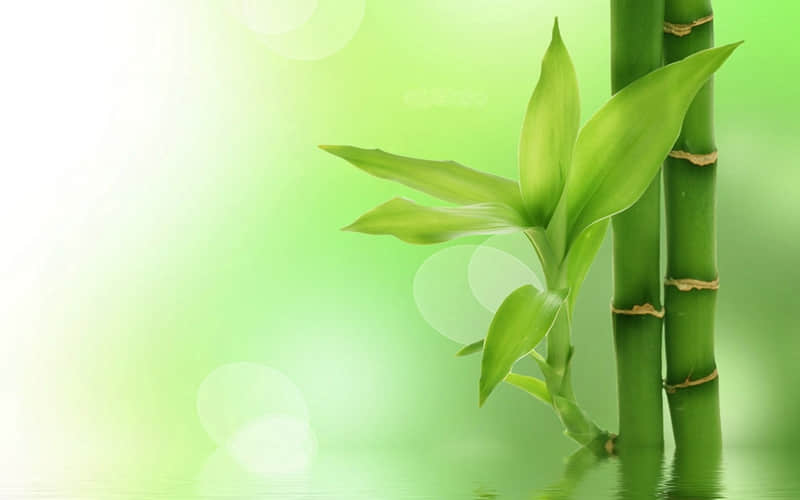 ���������簲����?��?Ȧ������������������100%�ޱ���