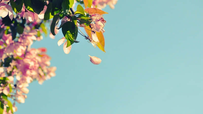 ����ͨ͸���ˣ�����������¡���