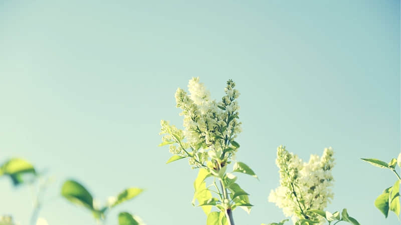 ��ûҵ�����뿪ʼһ�췢һ��������ԴԴ��������