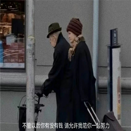 ɧ���˸���������(��ѡ100��)