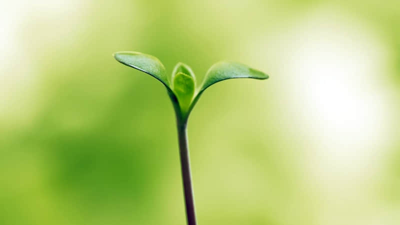 ���ʺϴ���Ƣ����Ů�˷�������Ȧ���뱻�ޡ�