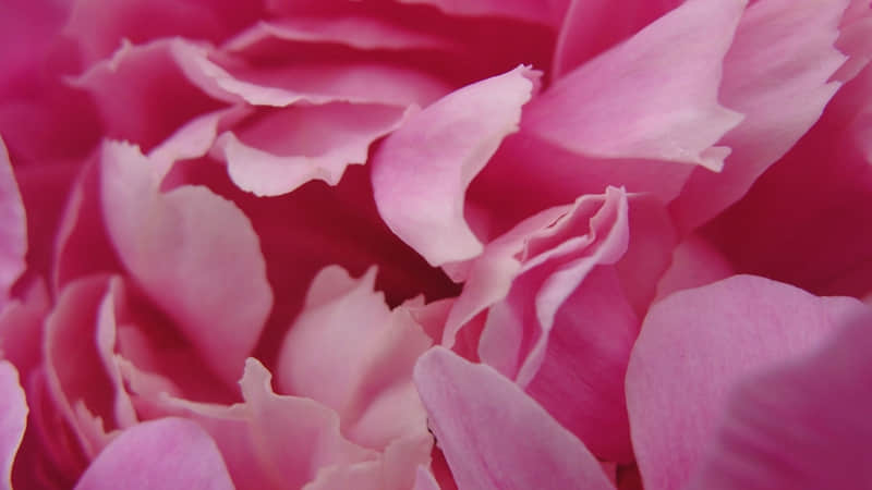 �������Ժ����������������һ�䣬������??��