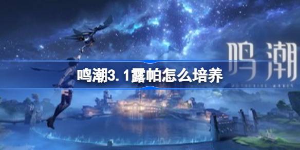 ����3.1¶����ô����