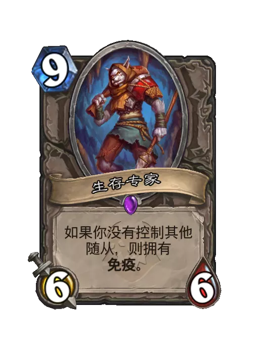 ¯ʯ��˵����ר�����Ч��һ��