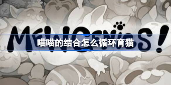 �����Ľ����ôѭ����è