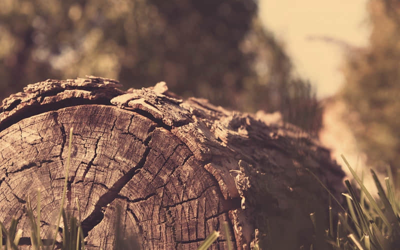 ��һ����Ʒλ��Ů�ˣ�����Ȧ����ô����