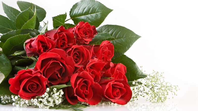 ����λ����ʺ��е�Ƣ����Ů�ˣ�̫���~��