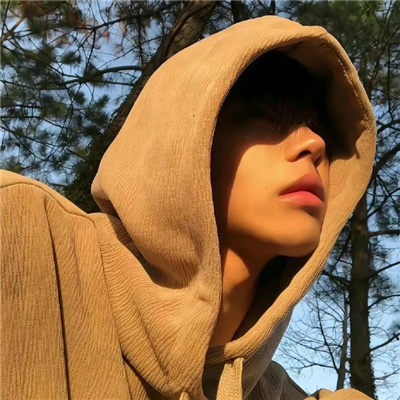 ��ʮ������ǳ���������(��ѡ100��)