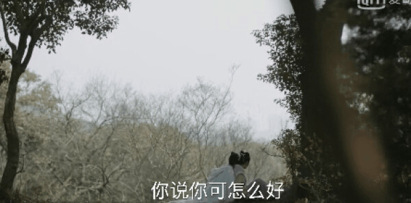 ֪��֪��Ӧ���̷ʺ��ݵ�5���������