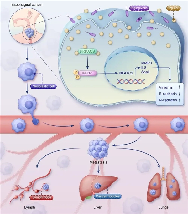 ��ûˢ�� ��Ȼ�����ư�ϸ��ת��?