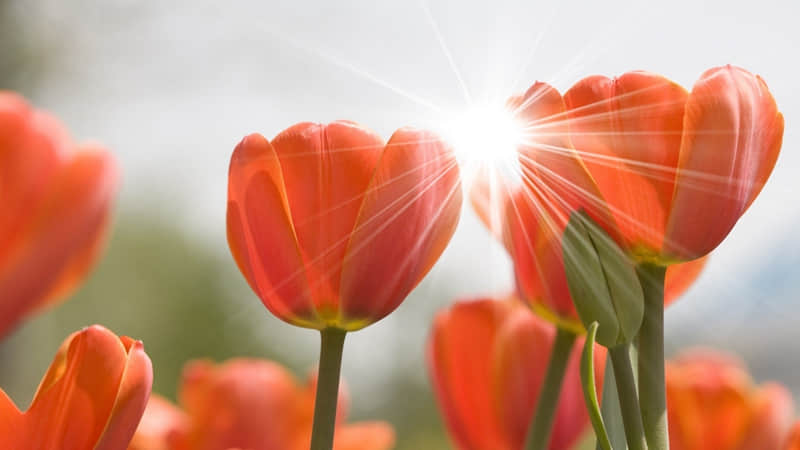 ����������һ�췢һ������������æ������