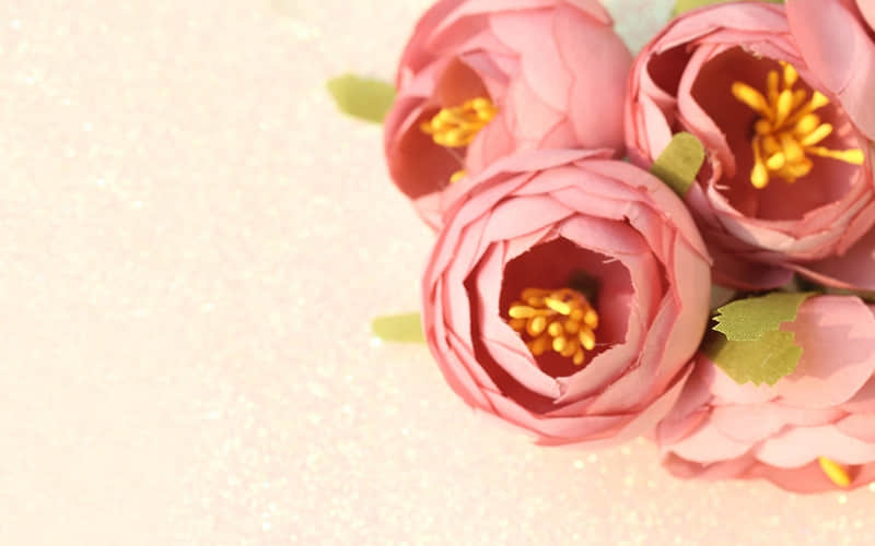 "���ų����������Ȧ�ᱻ����"!??