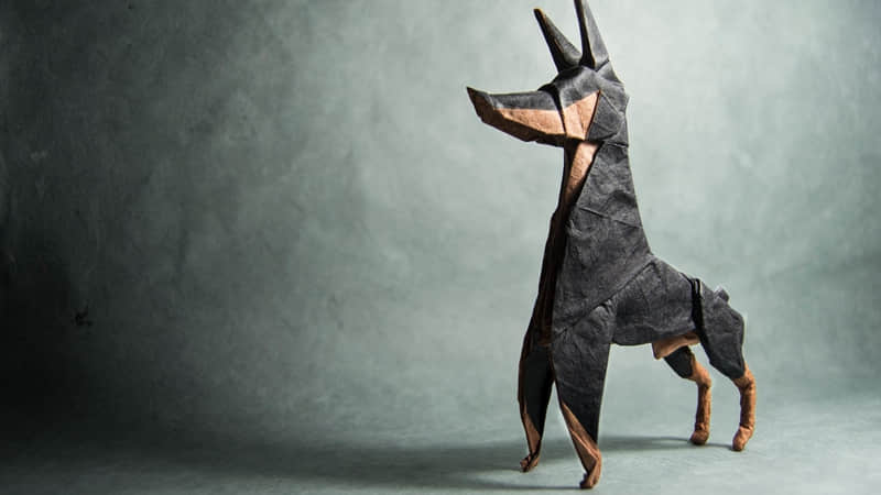 ����λ����ʺ�����Ů�ˣ�̫������~��??