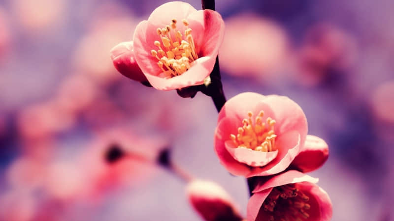 ��????????�������Ϊ���΢���ö��̾䡱