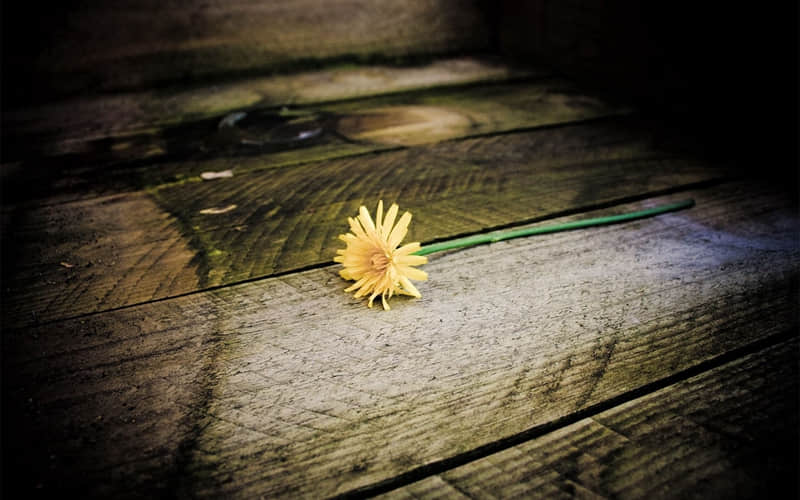 ������ش���ô������Ц����Ȧ��