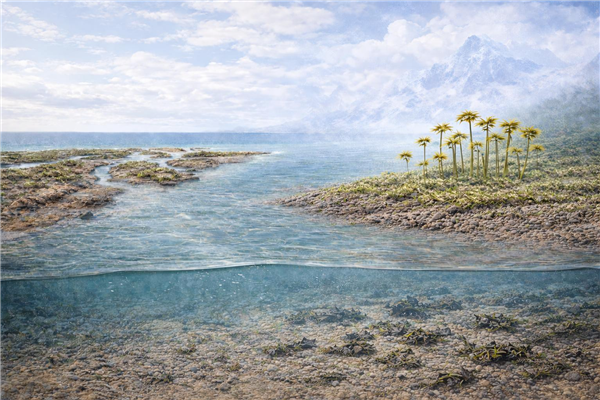 �й��·��֣�4.55����ǰ ½��ֲ���Ѿ���ʼ���賤��