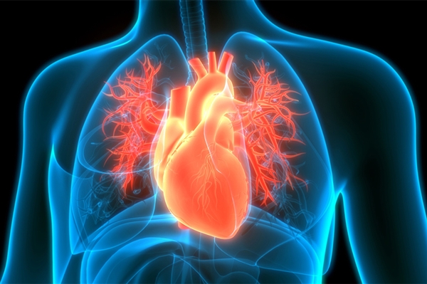 �����ʵ�1�����겡���ƽ������ˣ���Щ���س�Ϊ��������