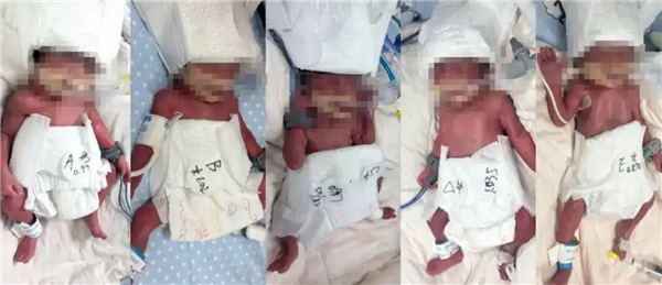 �½�24��Ů�ӳɹ�����1��4Ů5��̥��ȫ��ף�������������ļ����漣