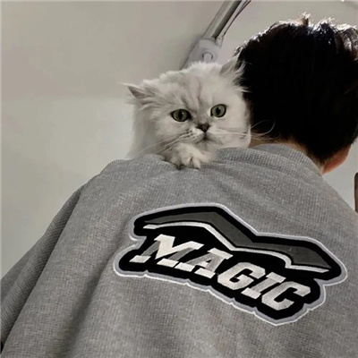 ����id����С������Ӣ��(��ѡ100��)