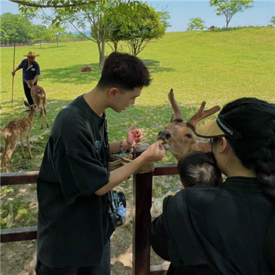 �滭�������ɰ���������(��ѡ100��)