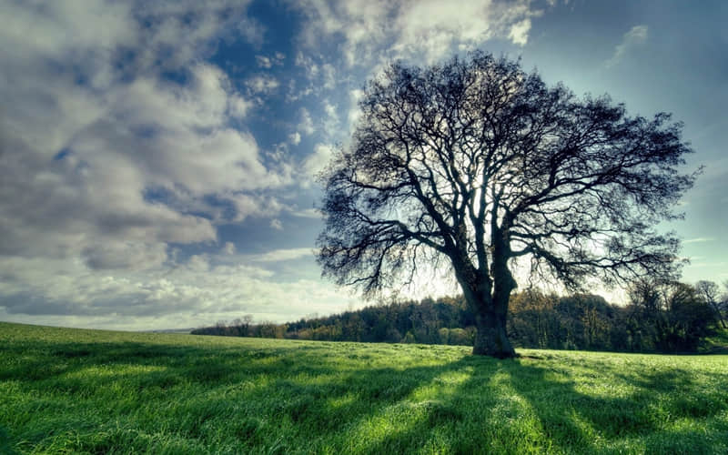 �����մ󺮣�����Ȧ�����������ָ߼���100%���ޡ�