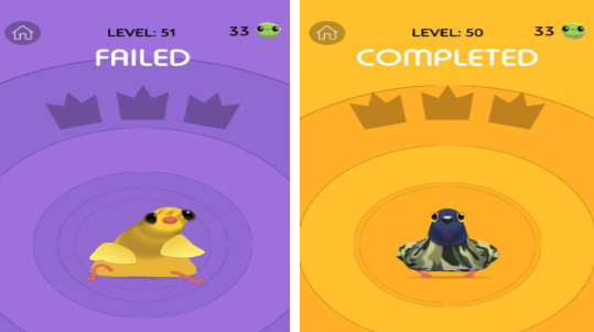 ������ߵ�5��Ȥζ����������Ϸ�Ƽ�