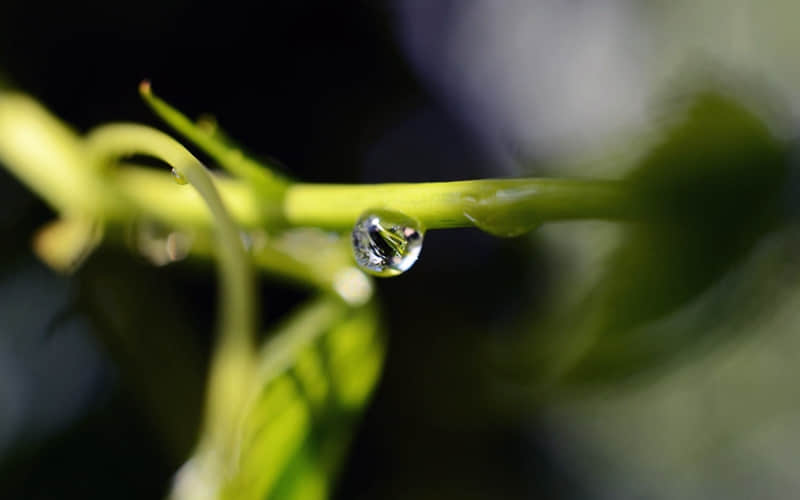 ����һ�䣬����ķÿ������ǡ���