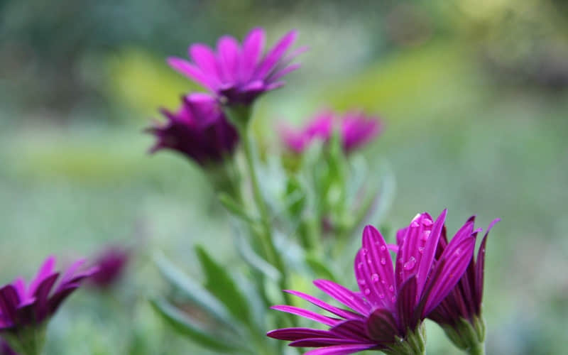 ���ᷴ�򻭱���Ů�ˣ��������벻���� ��