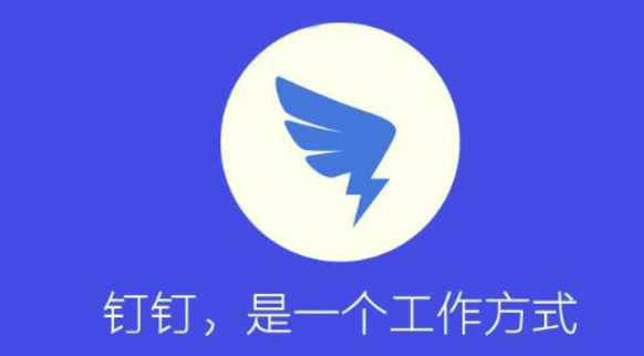 �������app����Щ����2026