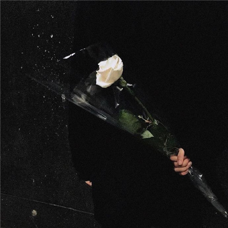 Ҭ����Ӣ�����������˸�(��ѡ100��)