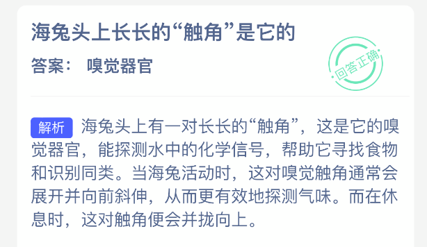 ����ͷ�ϳ����Ĵ���������