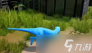 ����������Դ������ô����