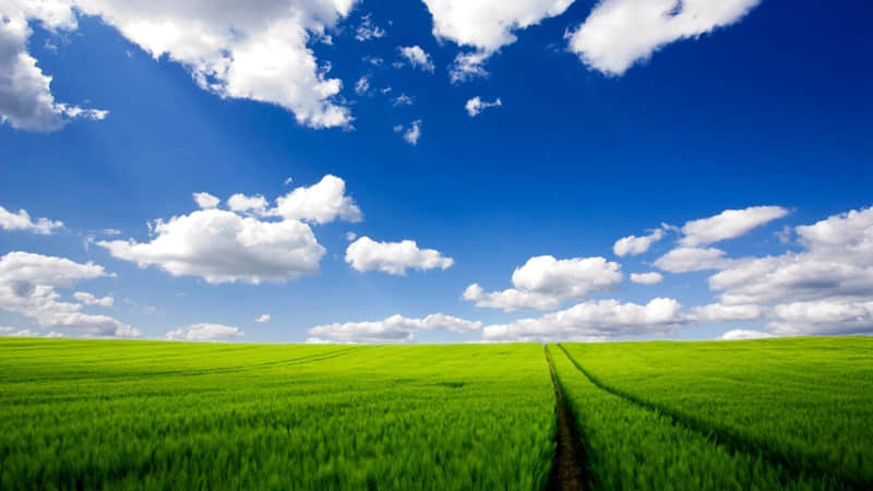 ��2026��ȫ�����˺�Ů�˵�ͳһ������