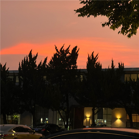 ���ļ�̵�������������(��ѡ100��)