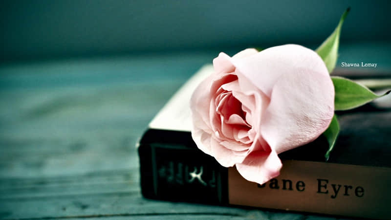 �������ˣ���ô�ã���Ҫ������??��