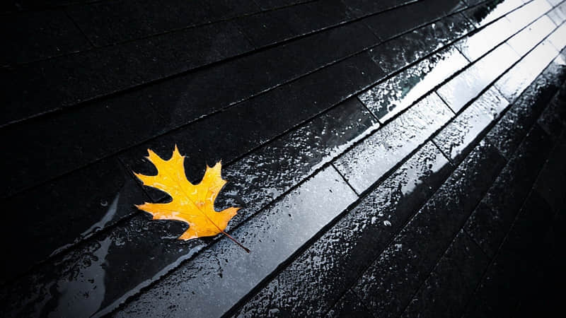 �����������죬��ô������Ц�̶�1000%??��