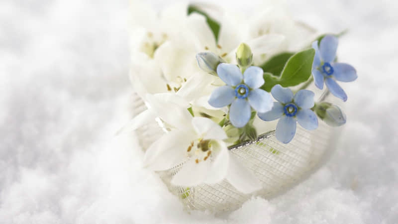 ��һ��Ů�˵�����Ȧ��ô��������������ɡ�