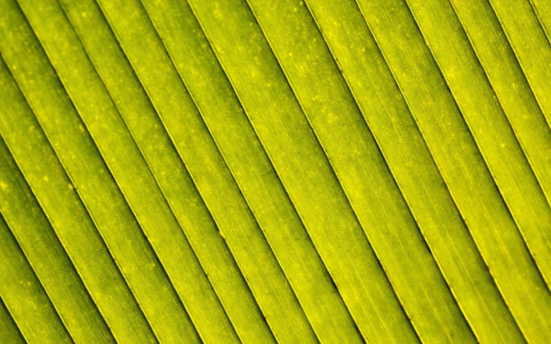 �ɳڸ�����Ȧ�İ�  ̫�в���