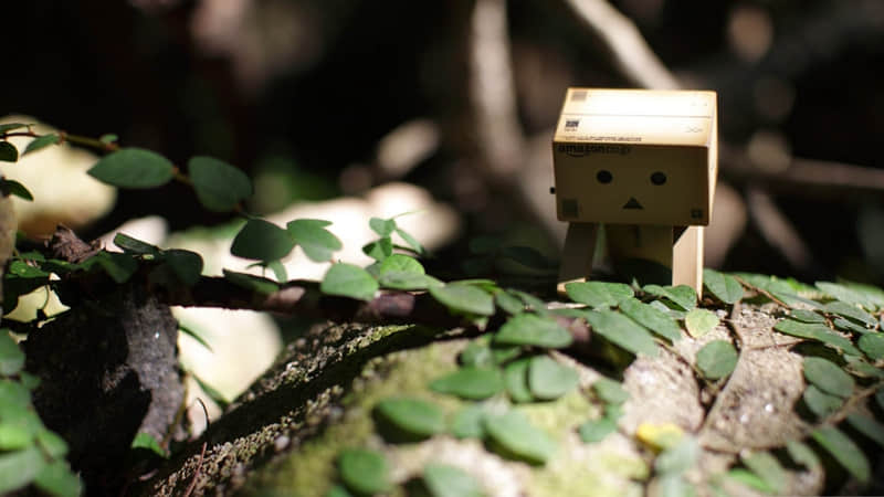 �������İ����Ƕ����İ������ִ��⣬�����ҫ�������ඥ��