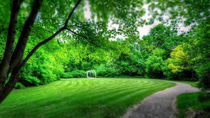 ��������ĳ�˿��ˣ��������ϵľ��ӡ�