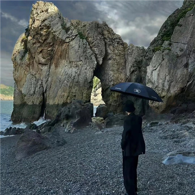 ������v�ַ��������ɰ�(��ѡ100��)