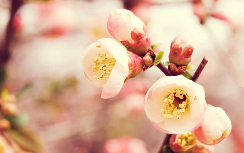 ����ĩ���??��ĩ�ճ��İ�???�ɳڸ߼�??��"