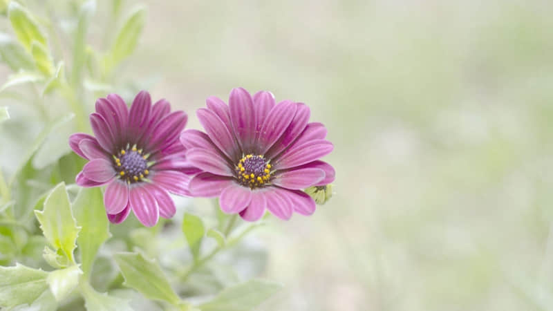 �������������ڲ���Ȧ������һ���ʺ��㡱