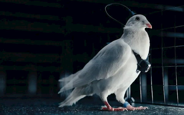 ����˹һ��˾�����ӱ��Կ����˻���һ�����500�������軻���